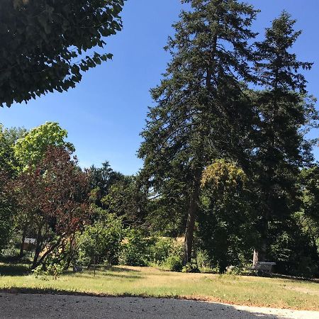 Charmant F1 Avec Terrasse Et Vue Sur Jardin Arbore - Fraicheur Naturelle Du Rez De Jardin - Parking Bellerive-sur-Allier Exteriér fotografie